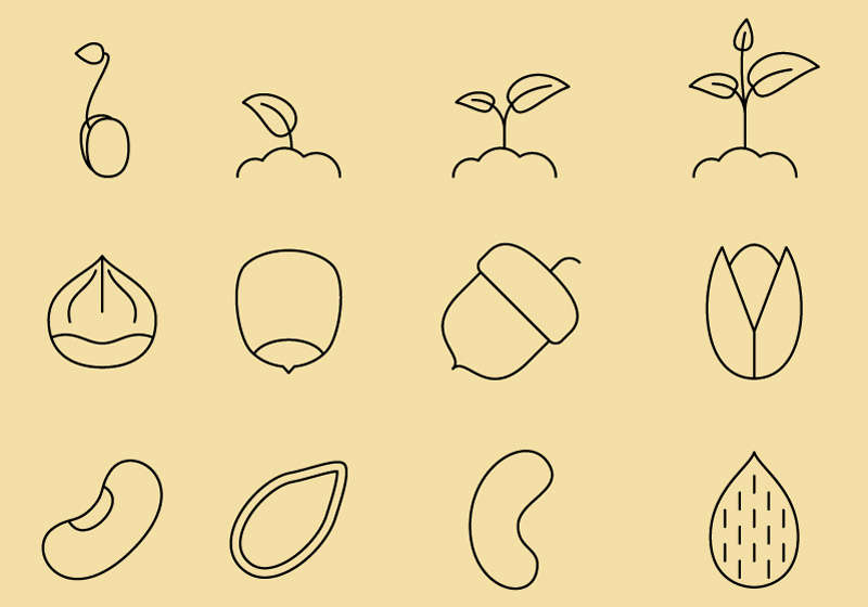 植物种子苗木图标,ai,手绘,线条型,简单,豆芽,谷物,农作物,大都,豌豆