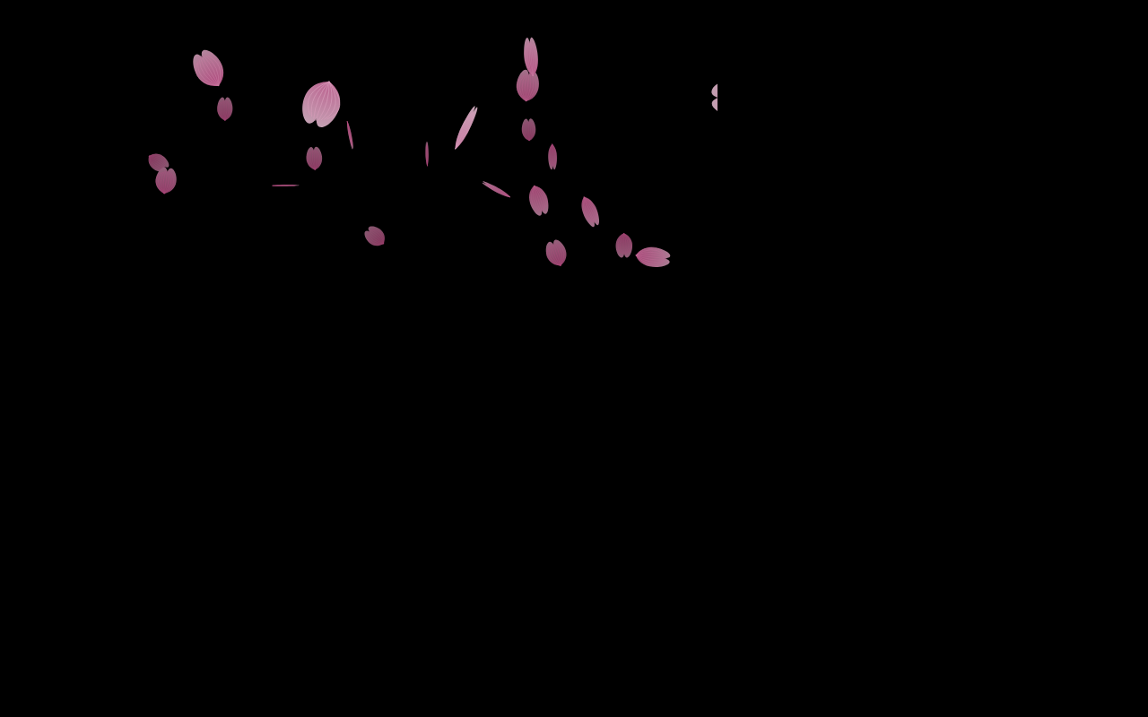 html5 canvas樱花飘落动画特效