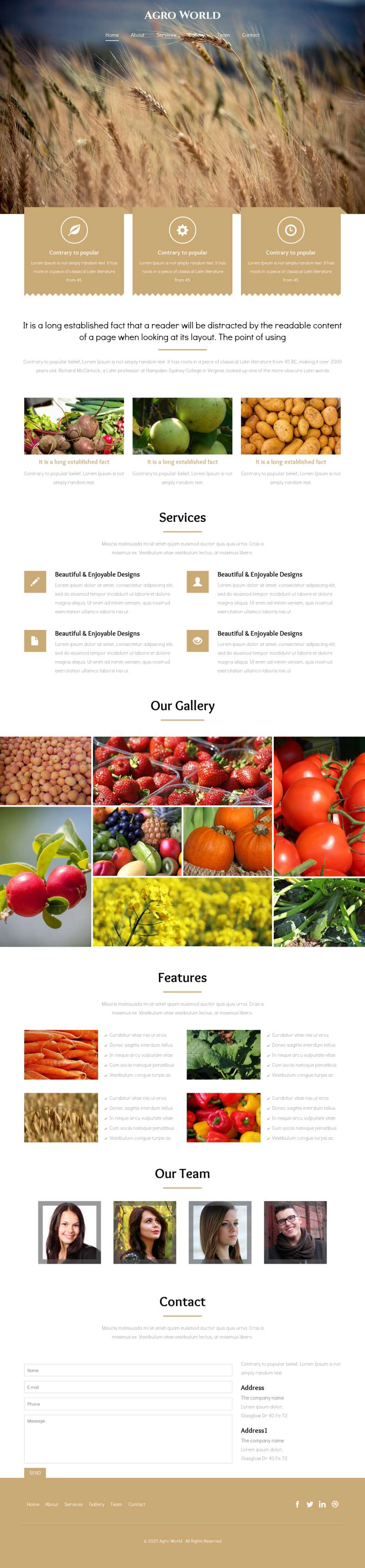 金色现代HTML5农业种植网站模板