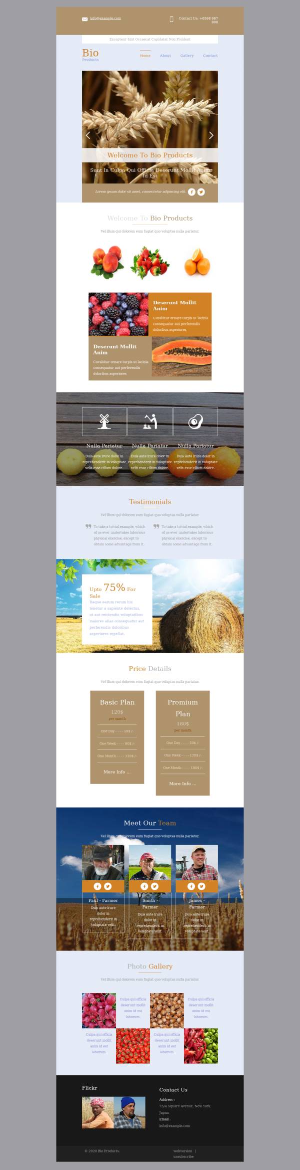 香槟色农业信息门户网页html模板