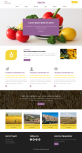 大气简洁农业有机食品HTML模板