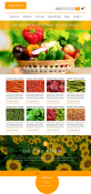 簡潔明亮的html果蔬農產品電子商務模板