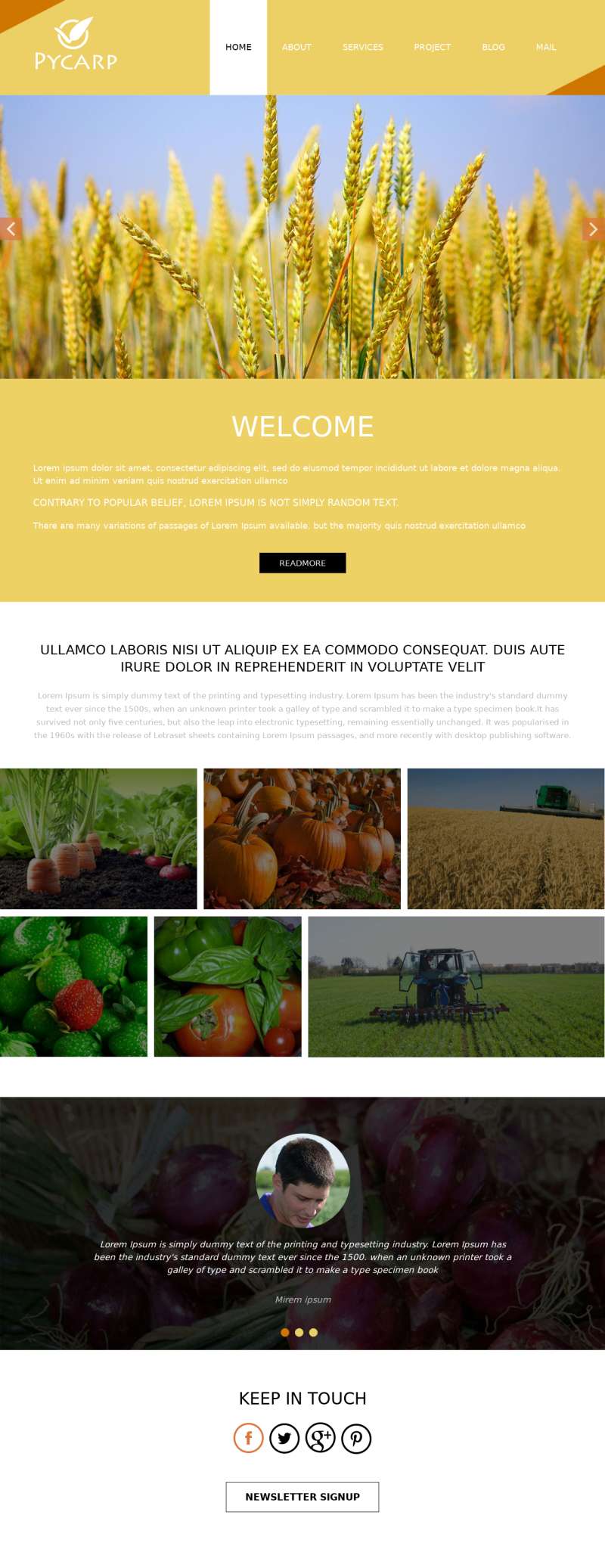 大气的黄金农业科技网站模板html