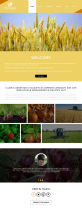 大气的黄金农业科技网站模板html