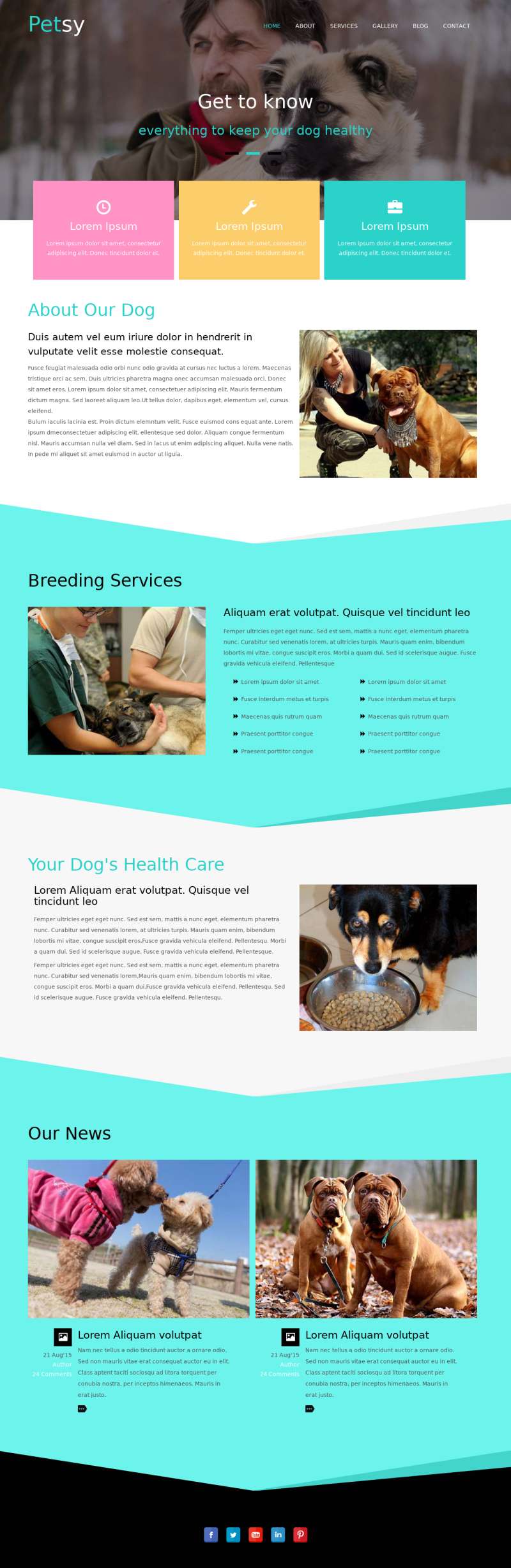 响应式宠物养殖服务网站html模板