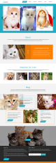清爽的HTML寵物貓買賣交易網站模板