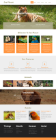 简洁的动物园HTML5响应式网站模板，简洁模板