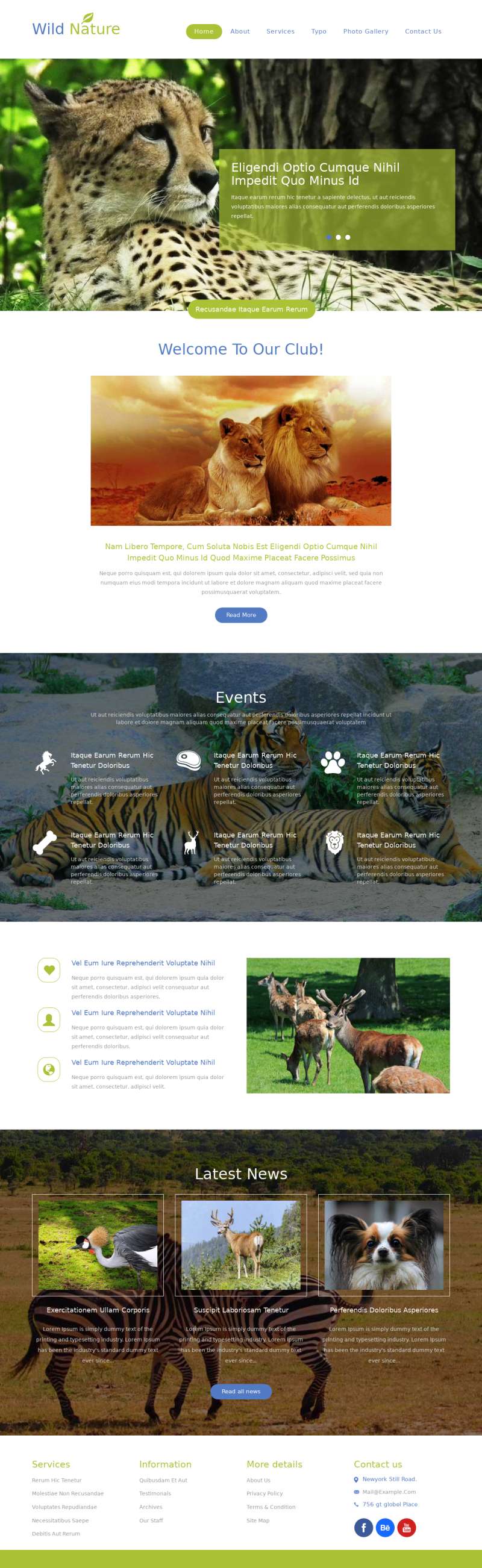 漂亮的HTML5动物园网站模板