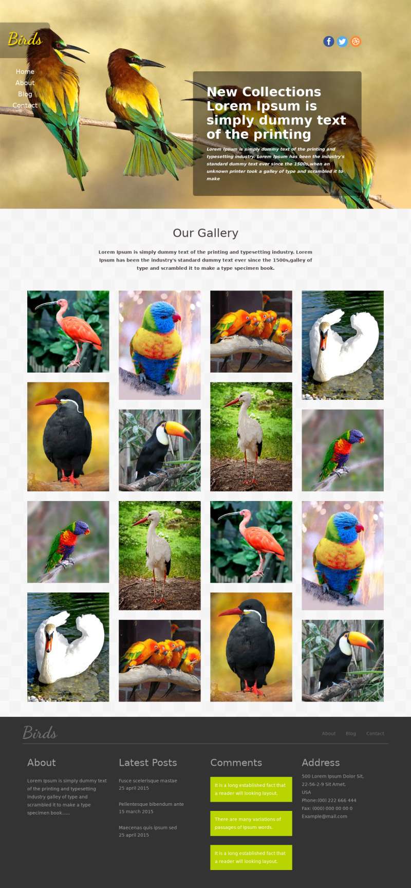 精美的鸟类展示网站html5模板，多图展示模板