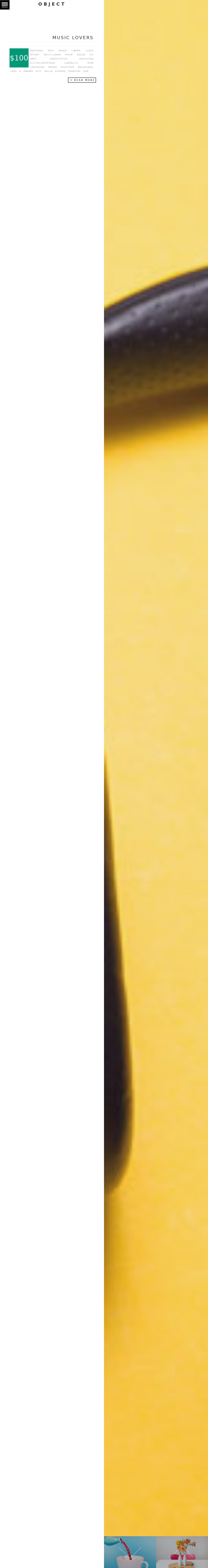 音樂網(wǎng)站源碼html，扁平化音樂網(wǎng)站制作模板