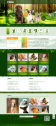 宠物网站模板源码，宠物类网页制作html