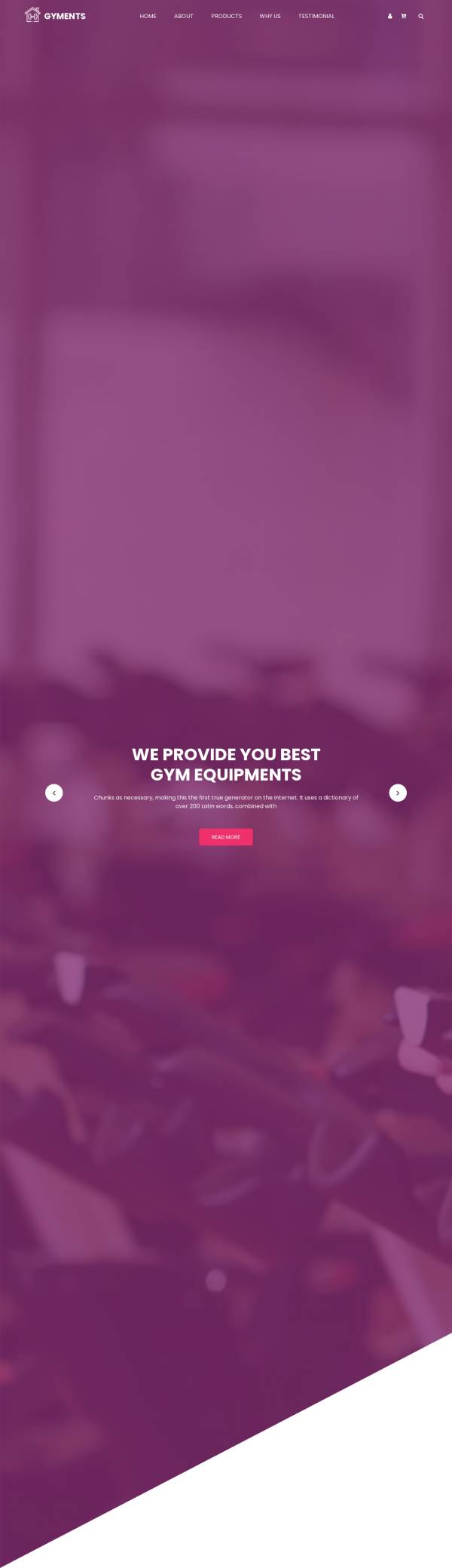 健身器材网站模板，健身器材网上商城设计模板
