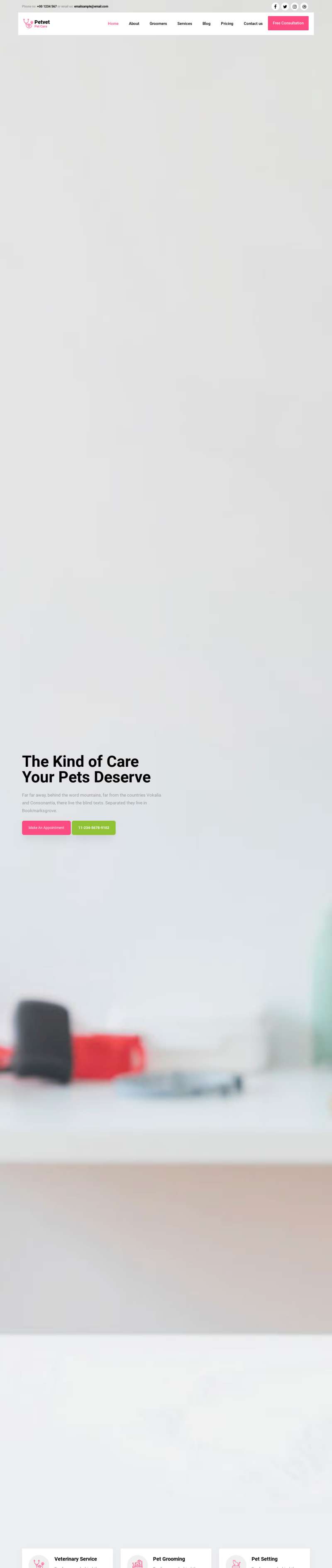 关于宠物的网页模板，宠物网站模板源码