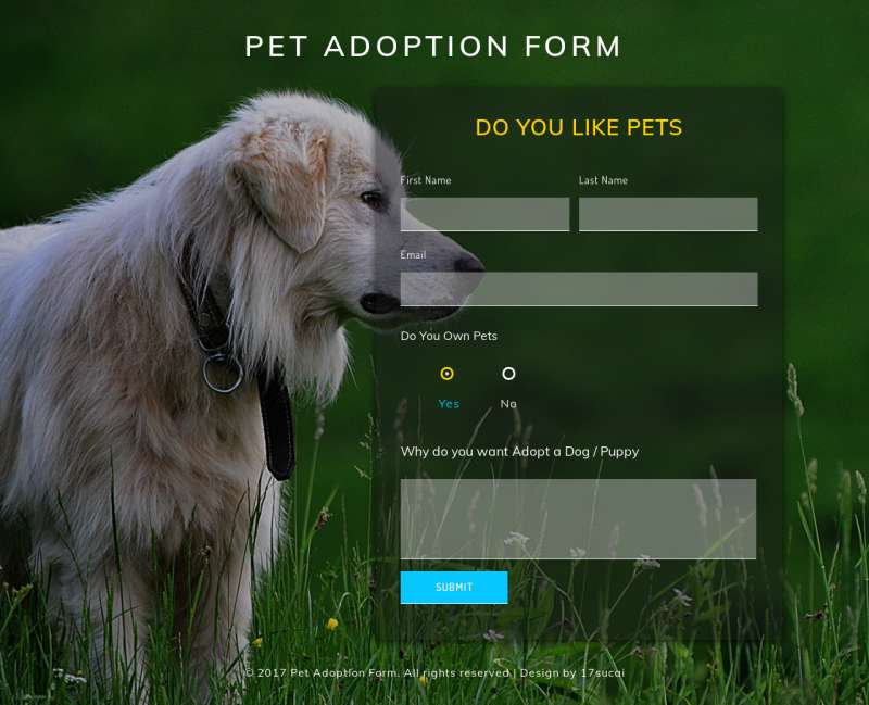 宠物领养网站源码，宠物收养网站的表单html代码