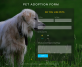 宠物领养网站源码，宠物收养网站的表单html代码