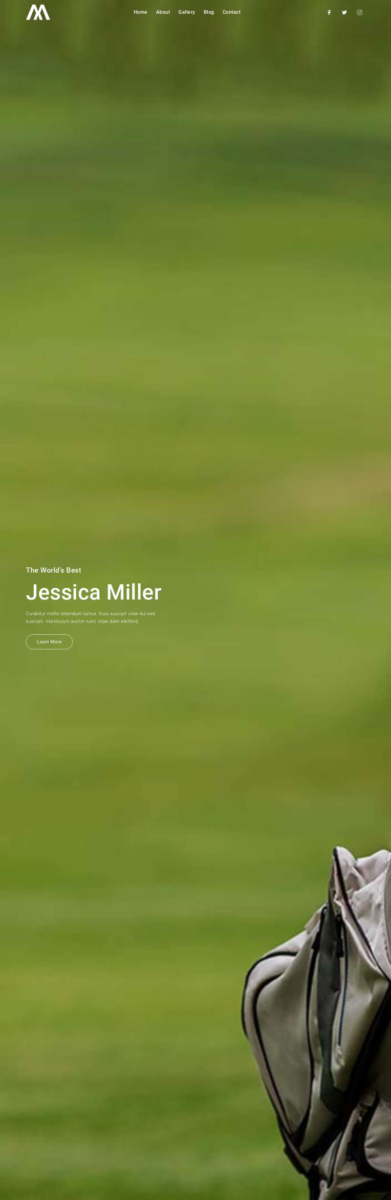 个人简历网站源码，高尔夫球员个人简历的网页设计代码