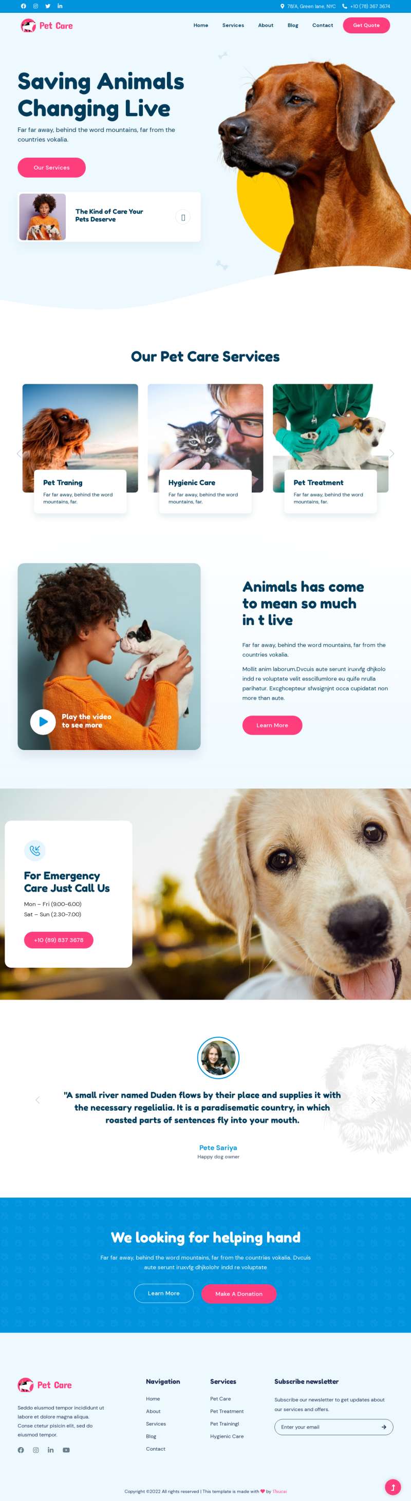 宠物网站页面设计代码，简单实用的宠物救助网站设计