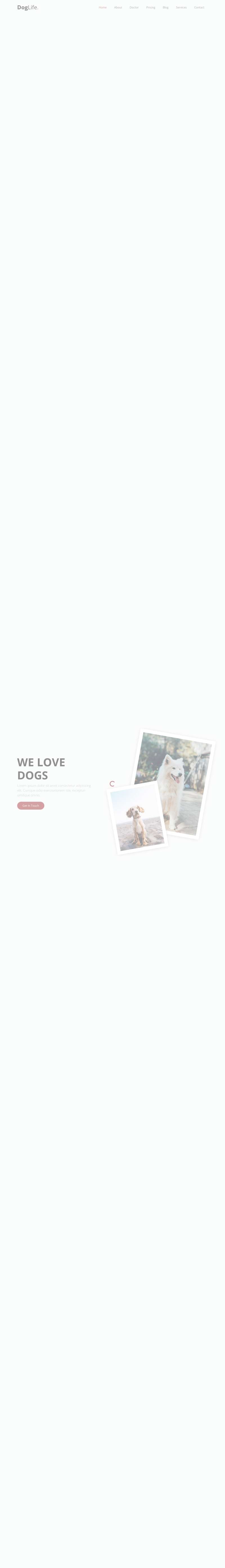 宠物护理网站页面设计，简洁的宠物家园网站设计代码