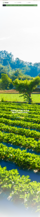 农产品网页设计模板，精美的html农业网站模板