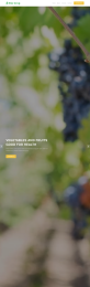 果园网站模板，精美的水果网站设计模板