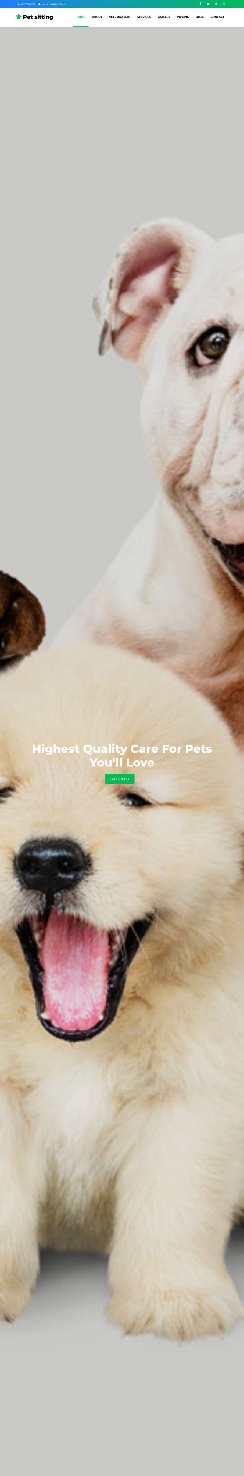 宠物网站模板源码，清爽的宠物店网页设计模板