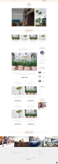 植物网页设计，高质量的花草种植网站模板