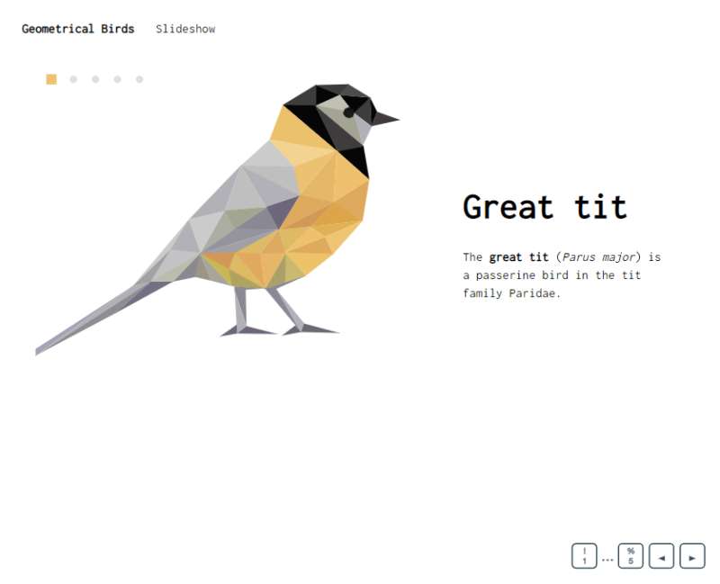 html幻灯片效果代码，关于鸟的网页设计