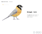 html幻燈片效果代碼，關于鳥的網頁設計