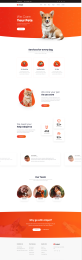 寵物網站設計模板，寵物護理網站頁面設計