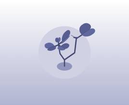 html旋转动画代码，css旋转植物动画效果