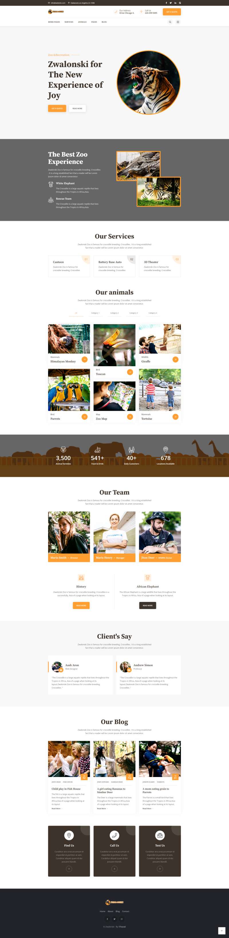动物园网页设计代码html，响应式动物网页设计模板下载
