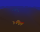 海底鱼动画素材下载，海洋动画素材图片
