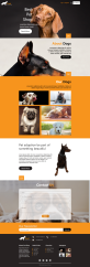 宠物店网页设计代码，精美的宠物店网页模板