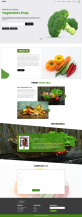 蔬菜网页设计模板，有机蔬菜网站源码下载