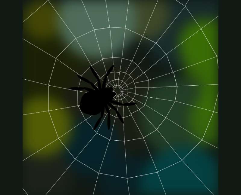 蜘蛛网网页动画素材下载，css蜘蛛动画特效