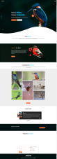 动物保护网站设计，鸟类保护公益网站官网下载