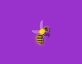 网页图片代码，蜜蜂高清图片素材