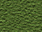 html绿色背景，苔藓墙效果图素材