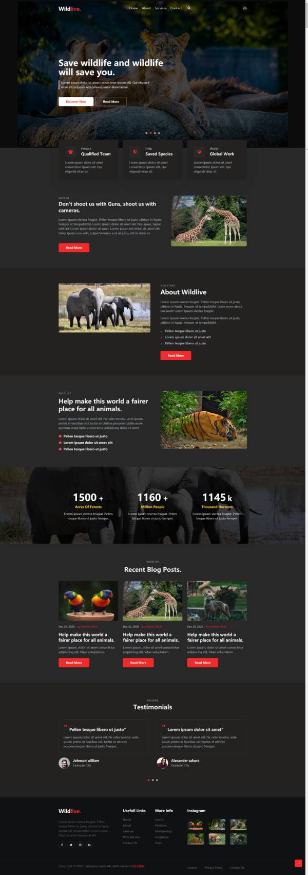 动物保护网站设计，大气公益宣传网页模板
