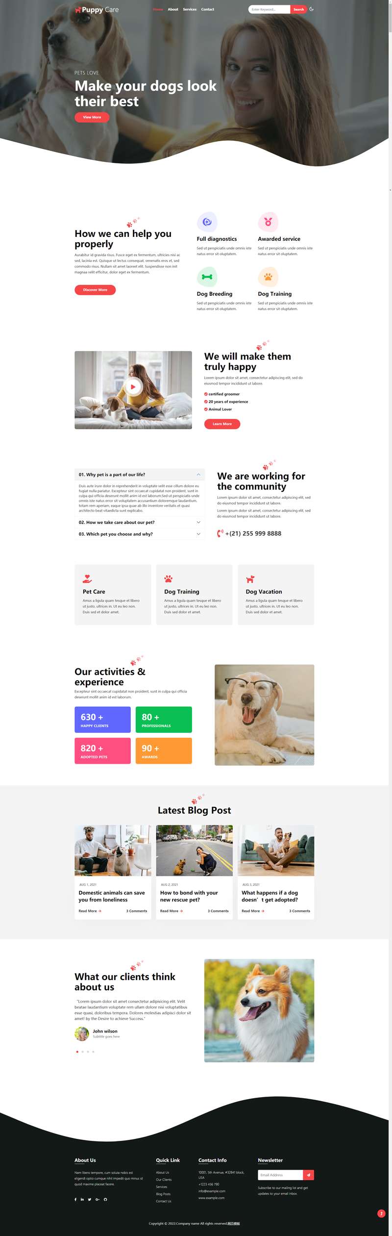 宠物类网站设计，关爱宠物宣传网页设计模板