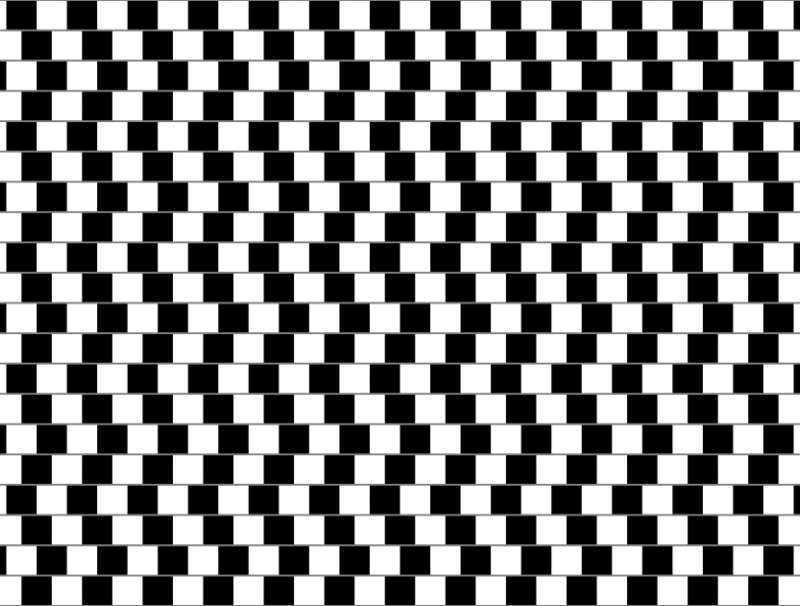 光學視覺錯覺設計，神奇的黑白視覺錯覺圖