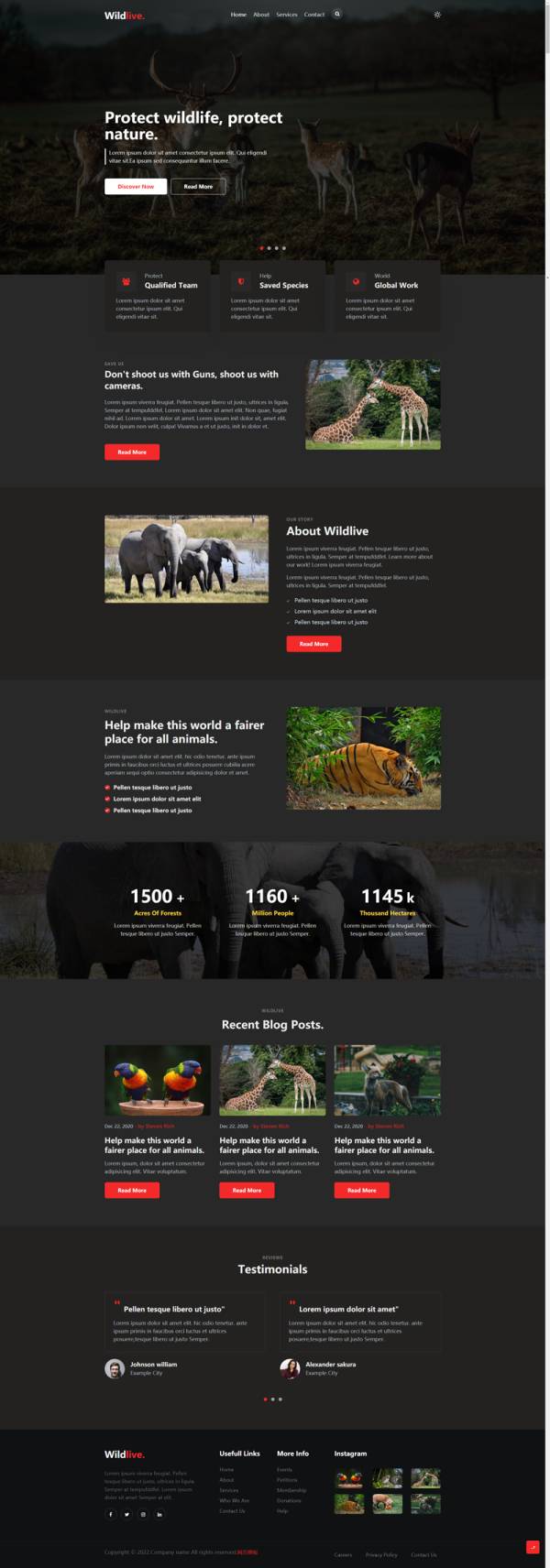 保护动物网页设计代码，野生动物网页设计模板