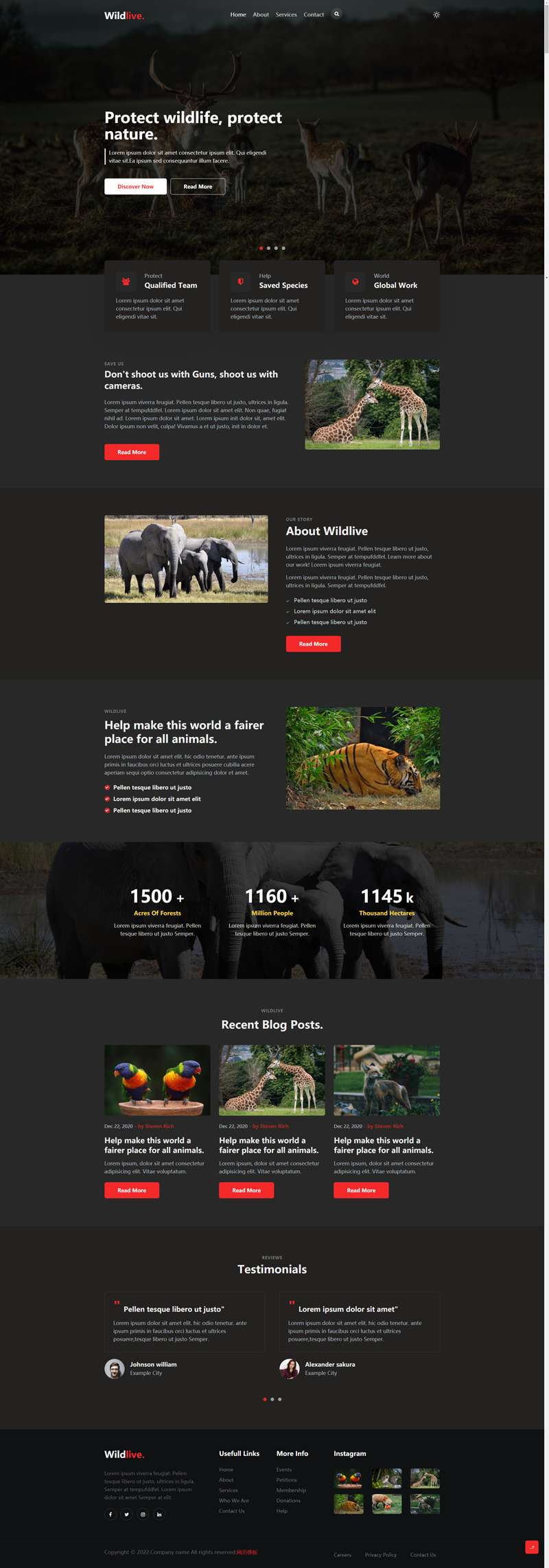 保護動物網頁設計代碼，野生動物網頁設計模板