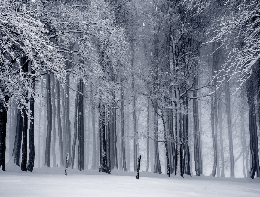 下雪場景動態圖片素材，逼真canvas下雪特效