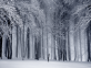 下雪场景动态图片素材，逼真canvas下雪特效