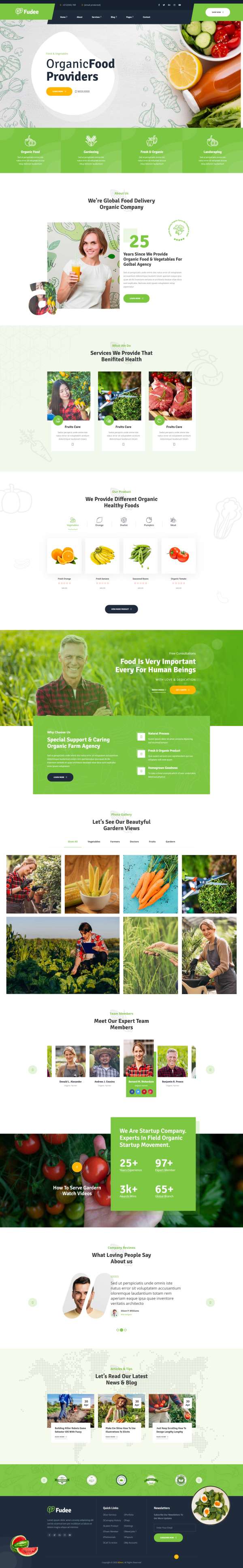 果蔬商城源码，绿色有机食品网上商店HTML5模板
