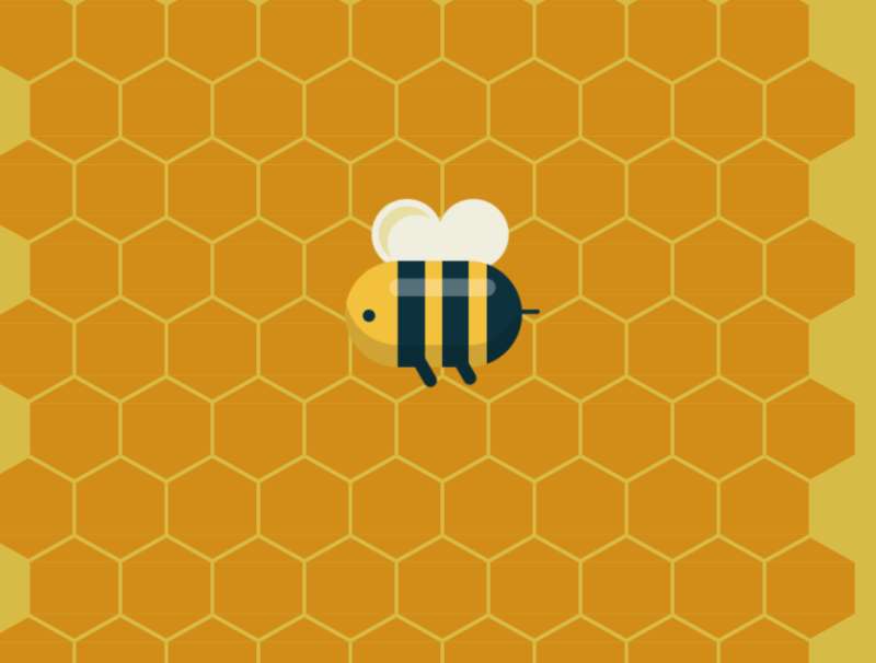 蜂窝元素设计，蜜蜂飞行动态画面素材