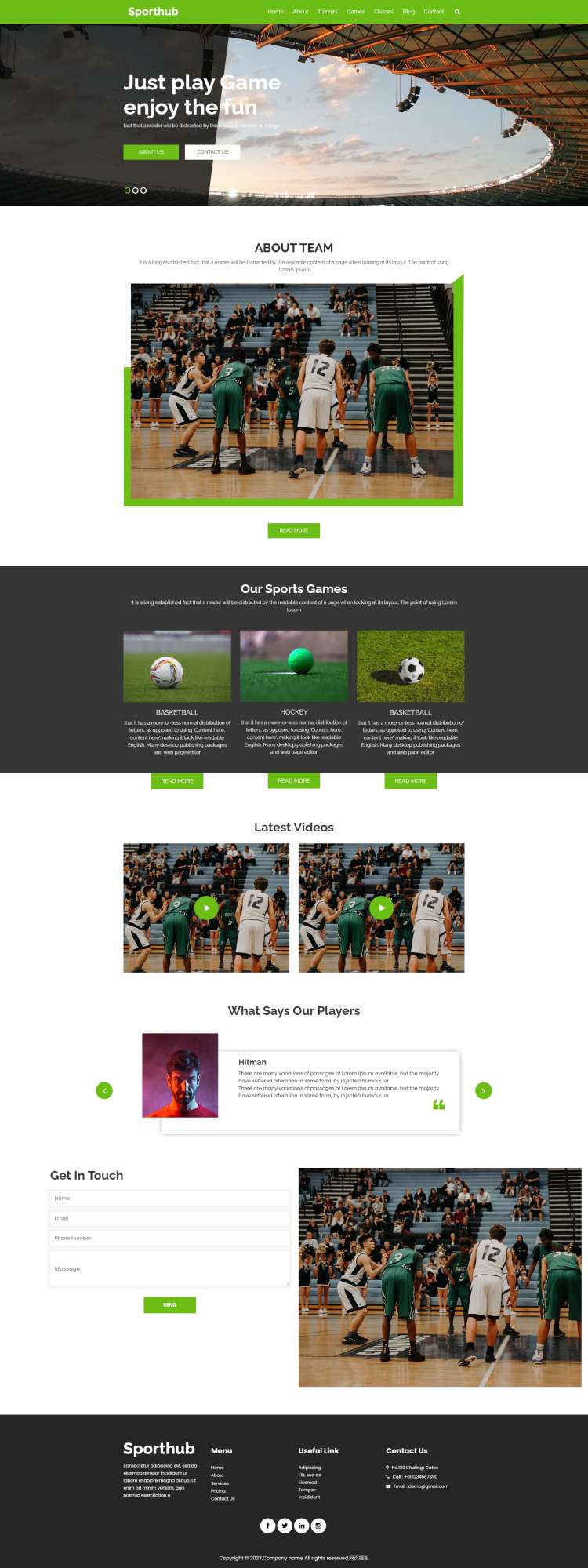 体育网页设计，专业球类网页设计模板