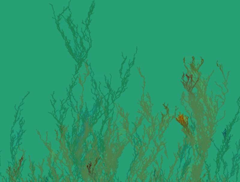 线条生长动画制作，海带生长动画效果图片素材