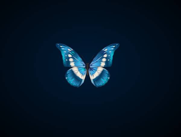 蝴蝶插画设计，蓝色几何蝴蝶图形素材